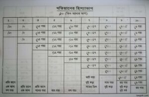খতিয়ানের হিস্যার হিসাব